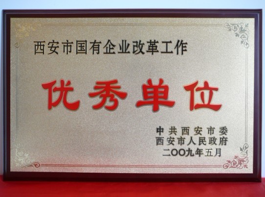 2009年5月，被西安市委、市政府评为西安市国企业刷新事情优异单元