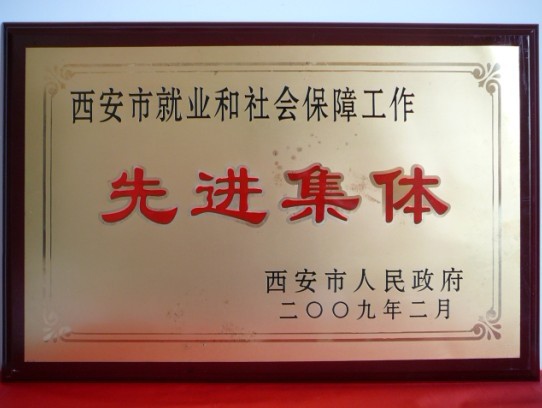 2009年2月，被西安市政府评为西安市就业和社会保障事情先进整体