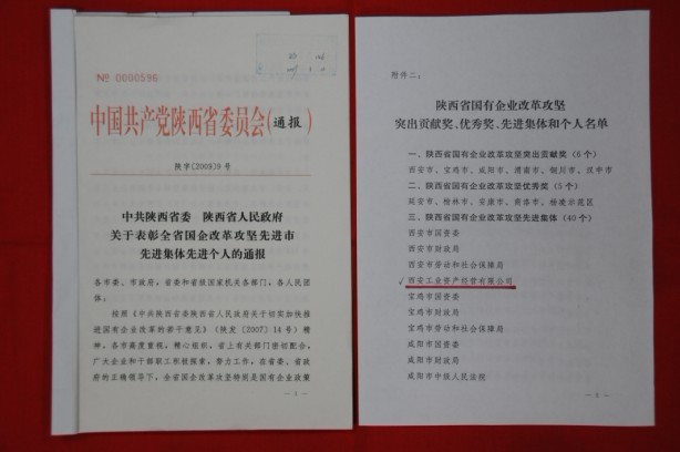 2009年2月，被陕西省委、省政府授予陕西省国有企业刷新攻坚先进整体